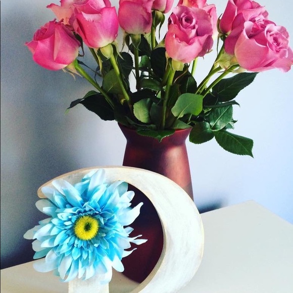 Meet your Posher, Daisy - Picture 15 of 15